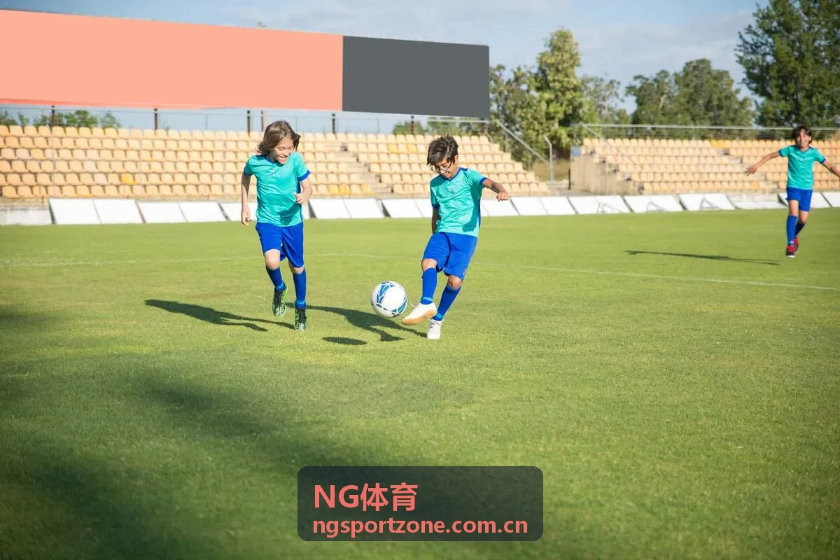 NG体育社区内容